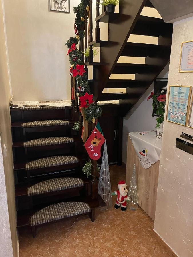 Hostal Casa Cu Pitici Vama  Exterior foto