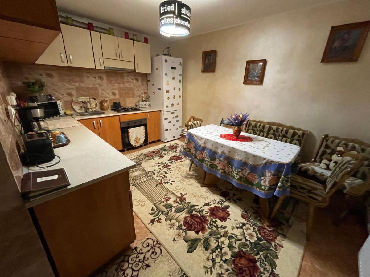 Hostal Casa Cu Pitici Vama  Exterior foto