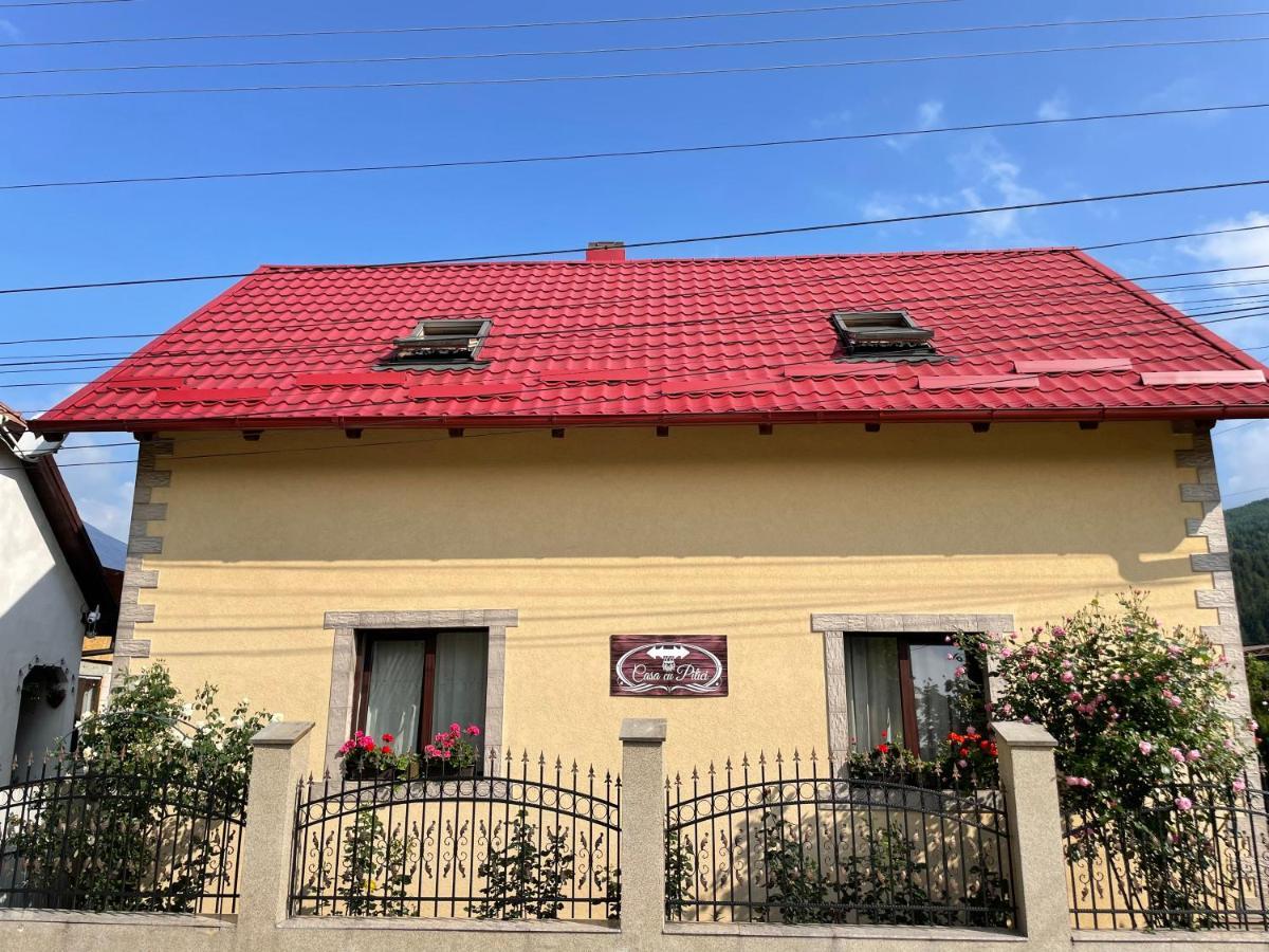 Hostal Casa Cu Pitici Vama  Exterior foto