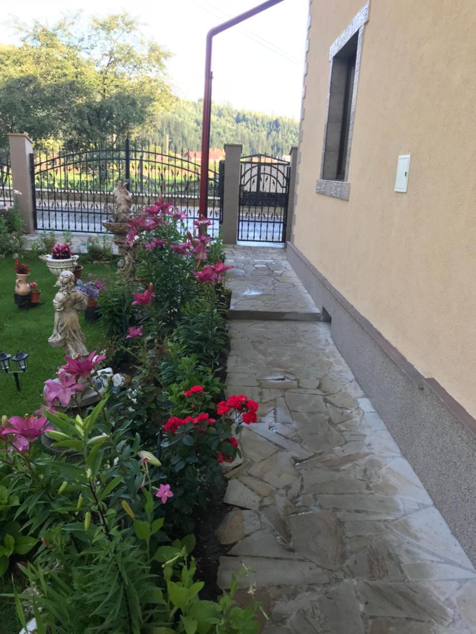 Hostal Casa Cu Pitici Vama  Exterior foto